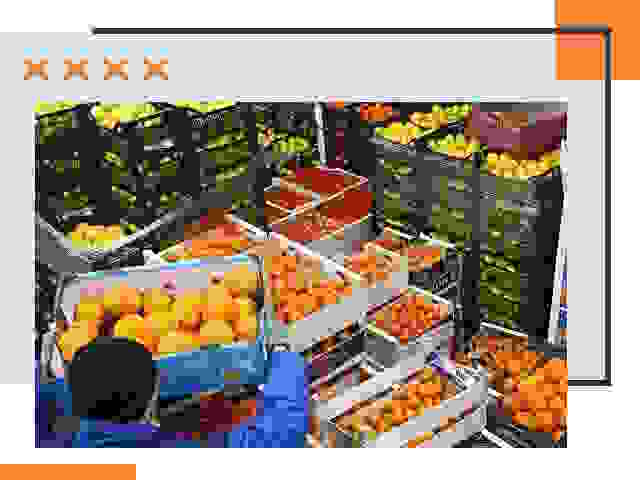 Перевозка скоропортящихся продуктов в Златоусте